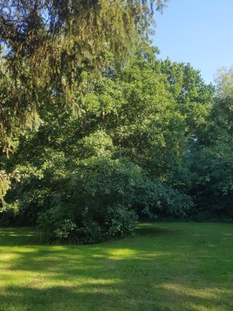 Lodge 'De Groene Parel' Schoorl Exterior foto